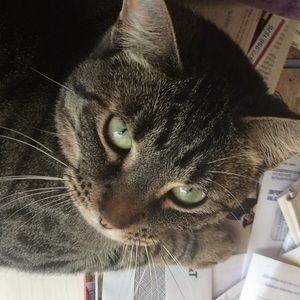 Meet your Posher, Tamara